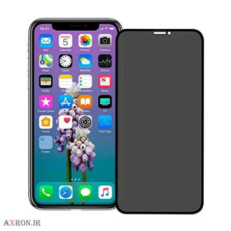 خرید گلس پرایوسی آیفون xs